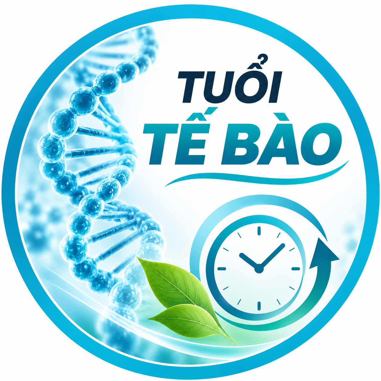 Chương Trình Giảm Cân với 6WNY